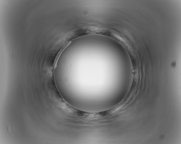 X0000092090621200709121514