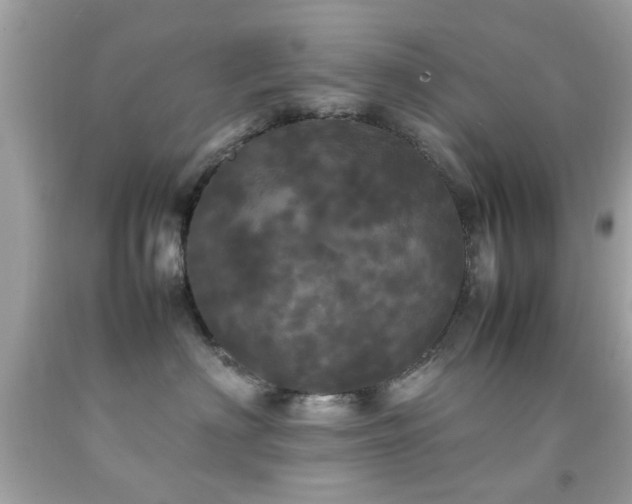 X0000092090622200709121514