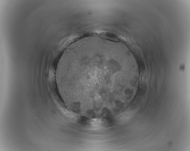 X0000092090623200709121514