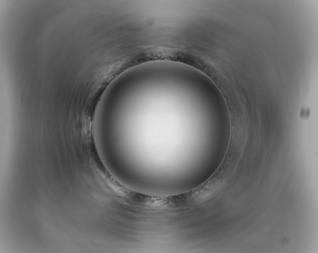 X0000092090624200709121514