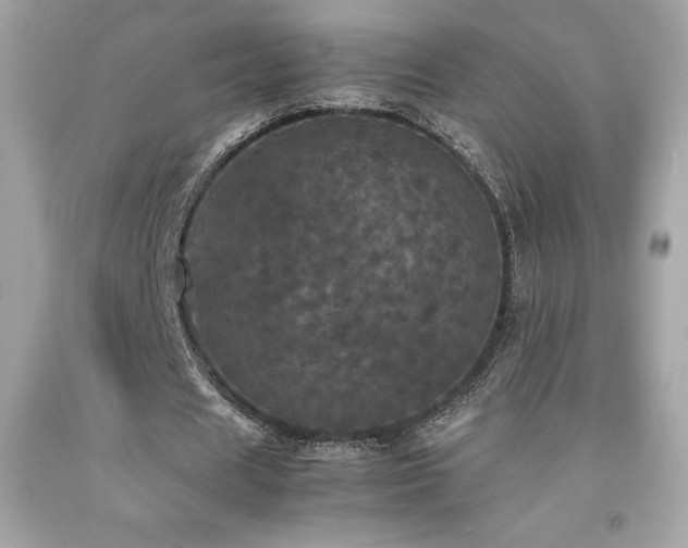 X0000092090625200709121513