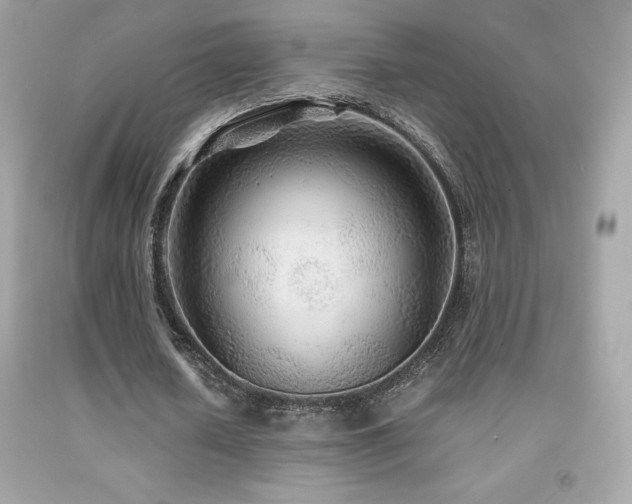 X0000092090626200709121513