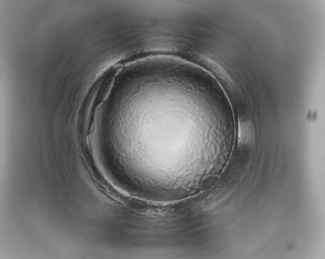 X0000092090627200709121513
