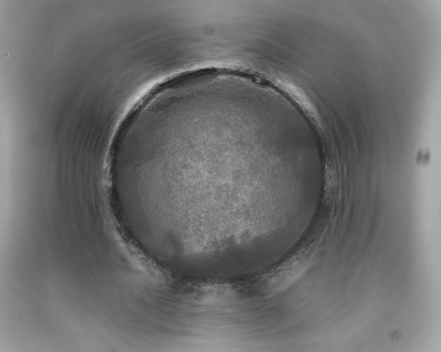 X0000092090628200709121513