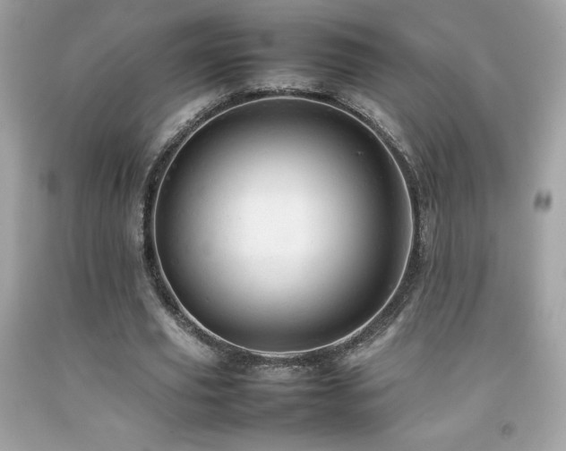 X0000092090629200709121513