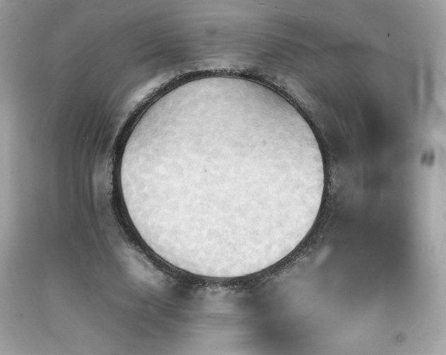 X0000092090632200709121513