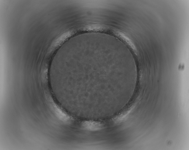 X0000092090633200709121513
