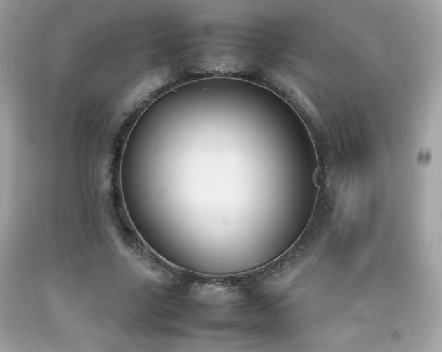 X0000092090635200709121513
