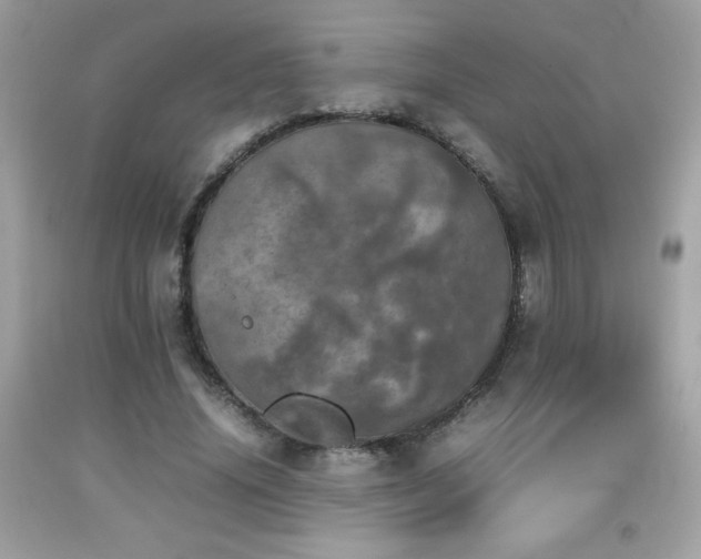 X0000092090636200709121513