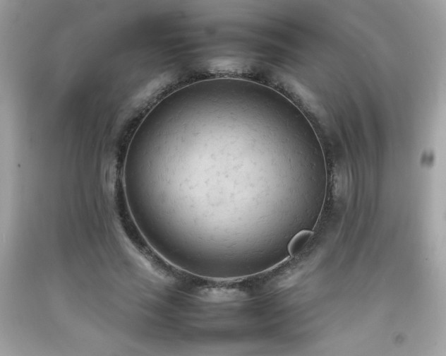 X0000092090637200709121513