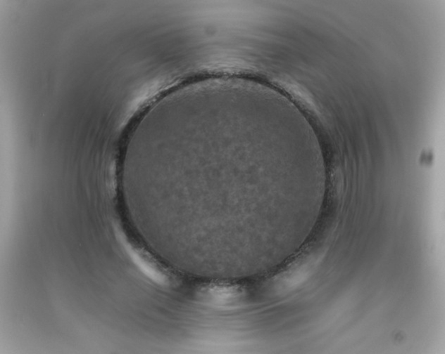 X0000092090638200709121513