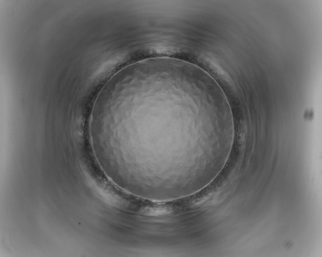 X0000092090639200709121513