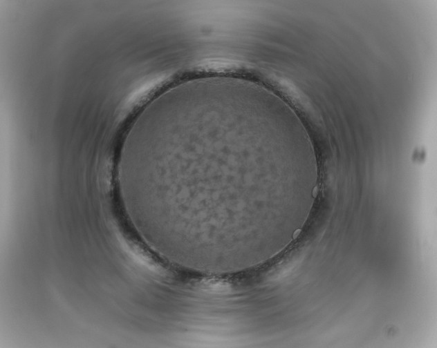 X0000092090640200709121513