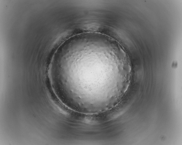 X0000092090641200709121513