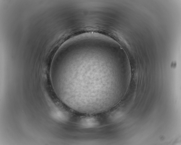 X0000092090643200709121513
