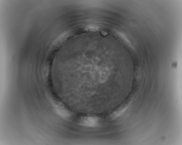 X0000092090645200709121513