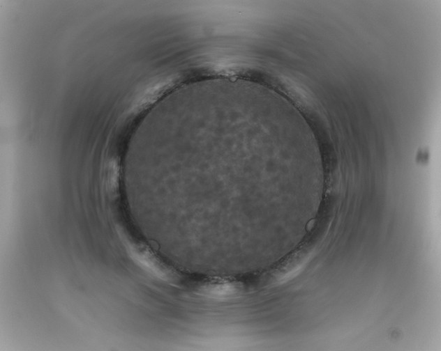 X0000092090646200709121513