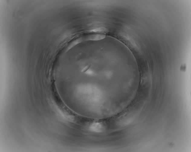 X0000092090647200709121513