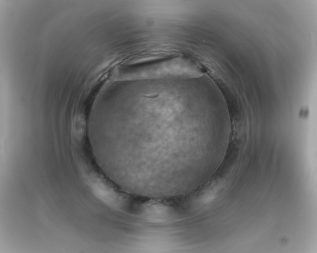 X0000092090648200709121513