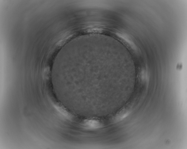 X0000092090649200709121513