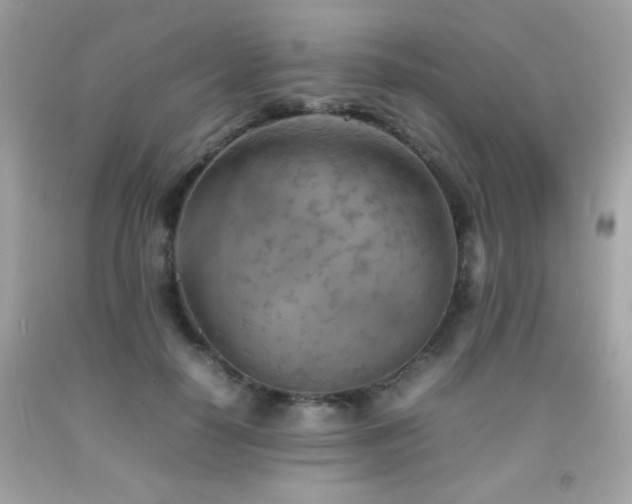 X0000092090650200709121513