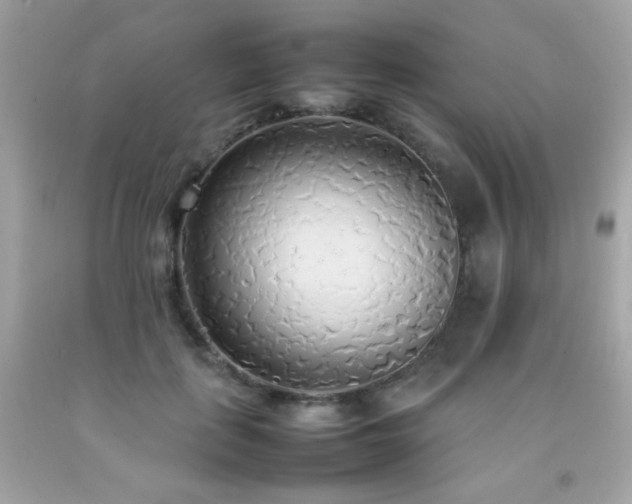 X0000092090651200709121513