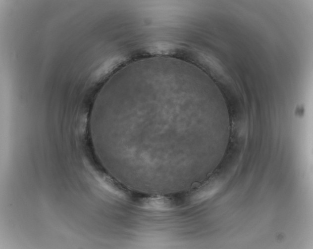 X0000092090652200709121513