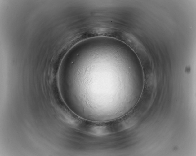 X0000092090653200709121513