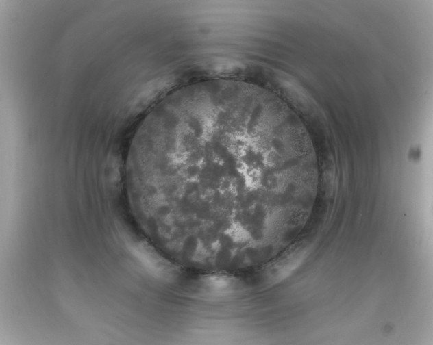 X0000092090654200709121513