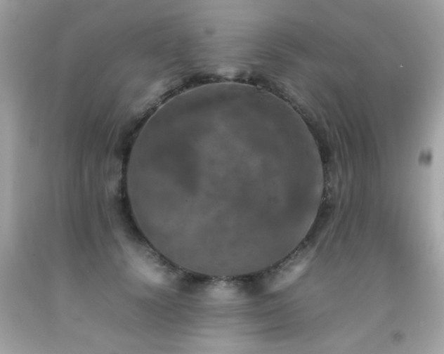 X0000092090656200709121513