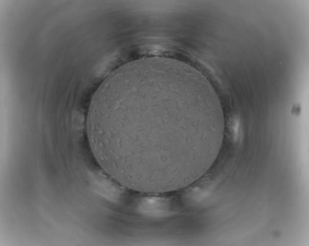 X0000092090657200709121513
