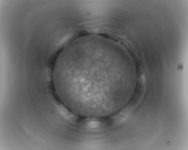 X0000092090658200709121513