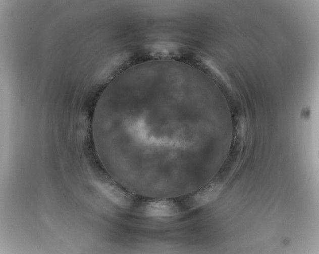 X0000092090659200709121513