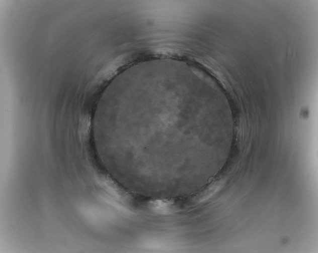 X0000092090660200709121514