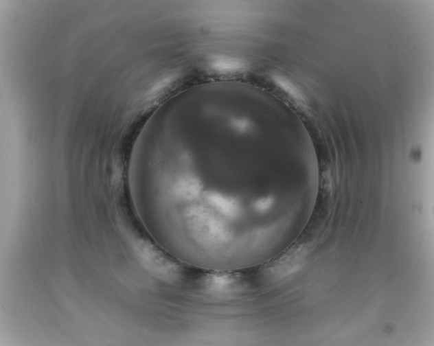 X0000092090662200709121514