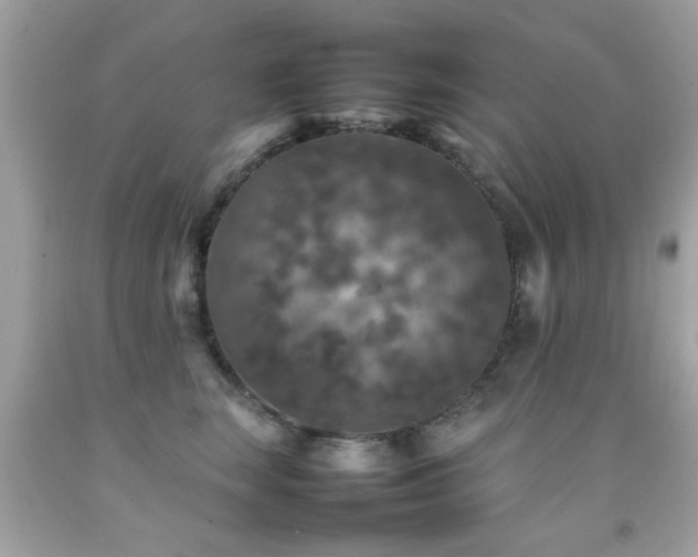 X0000092090663200709121514