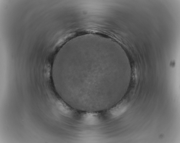 X0000092090664200709121514