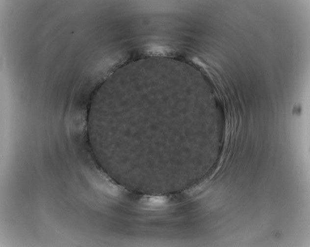 X0000092090665200709121514