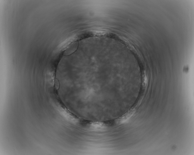 X0000092090666200709121514