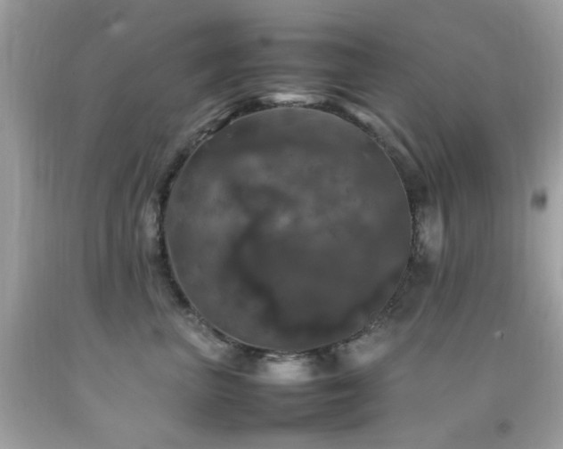X0000092090667200709121514