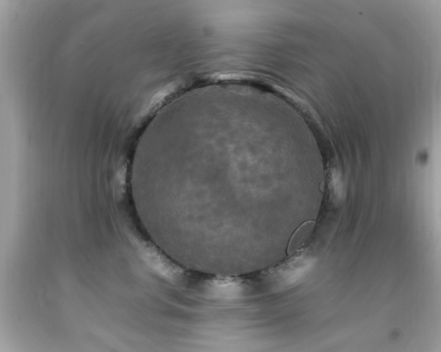 X0000092090668200709121514