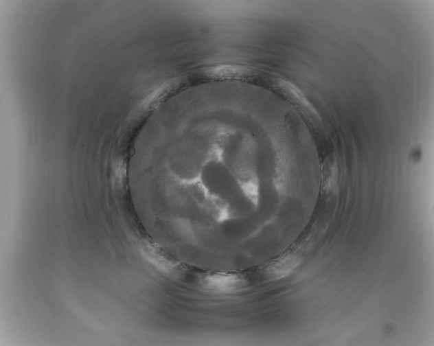 X0000092090669200709121514