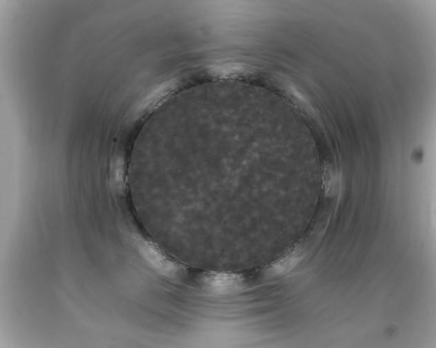 X0000092090670200709121514