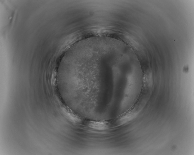 X0000092090671200709121514