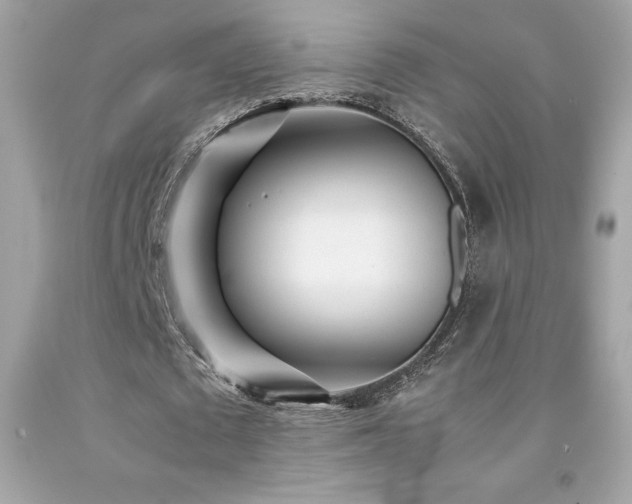 X0000092090673200709121513