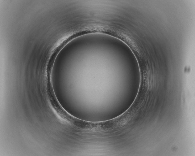 X0000092090674200709121513