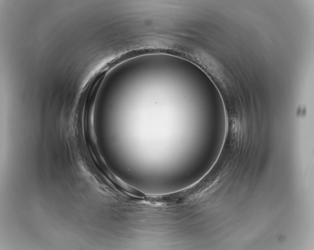 X0000092090676200709121513