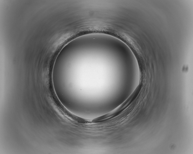 X0000092090677200709121513