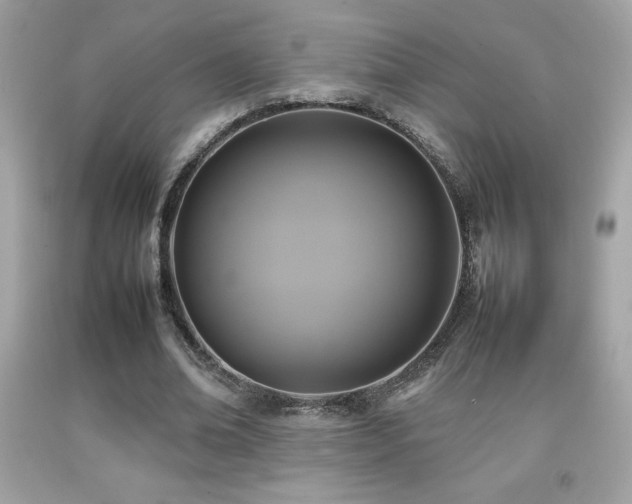 X0000092090678200709121513