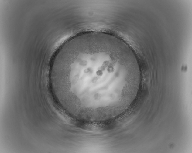 X0000092090679200709121513